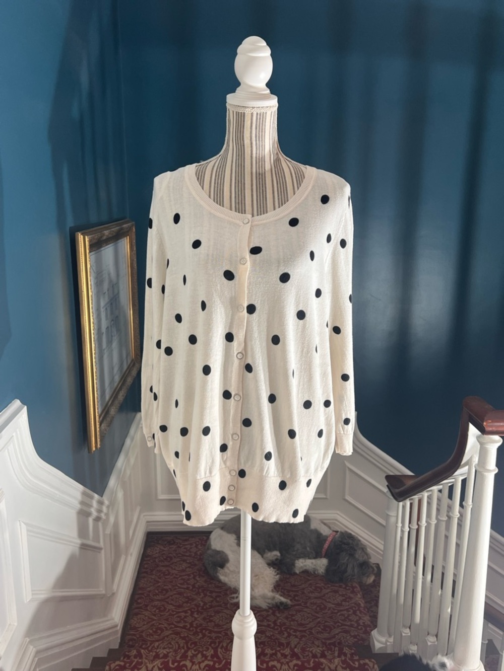 Cream Polka Dot Button-Up Cardigan lane Bryant 18/20 sweater cotton s413